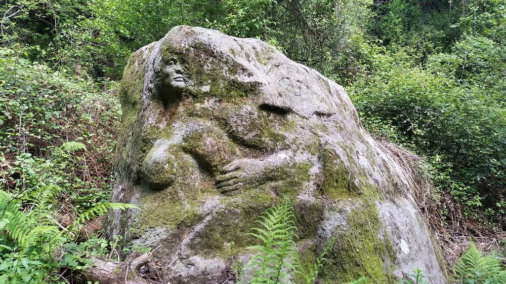 Il Debbio Riccò del Golfo di Spezia Exterior foto
